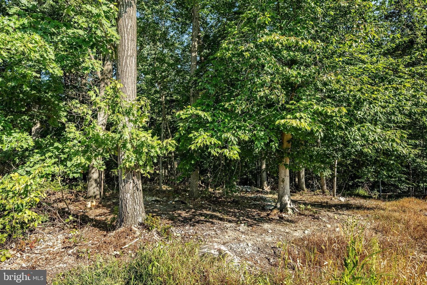 117 Nichols Mill Road photo 42