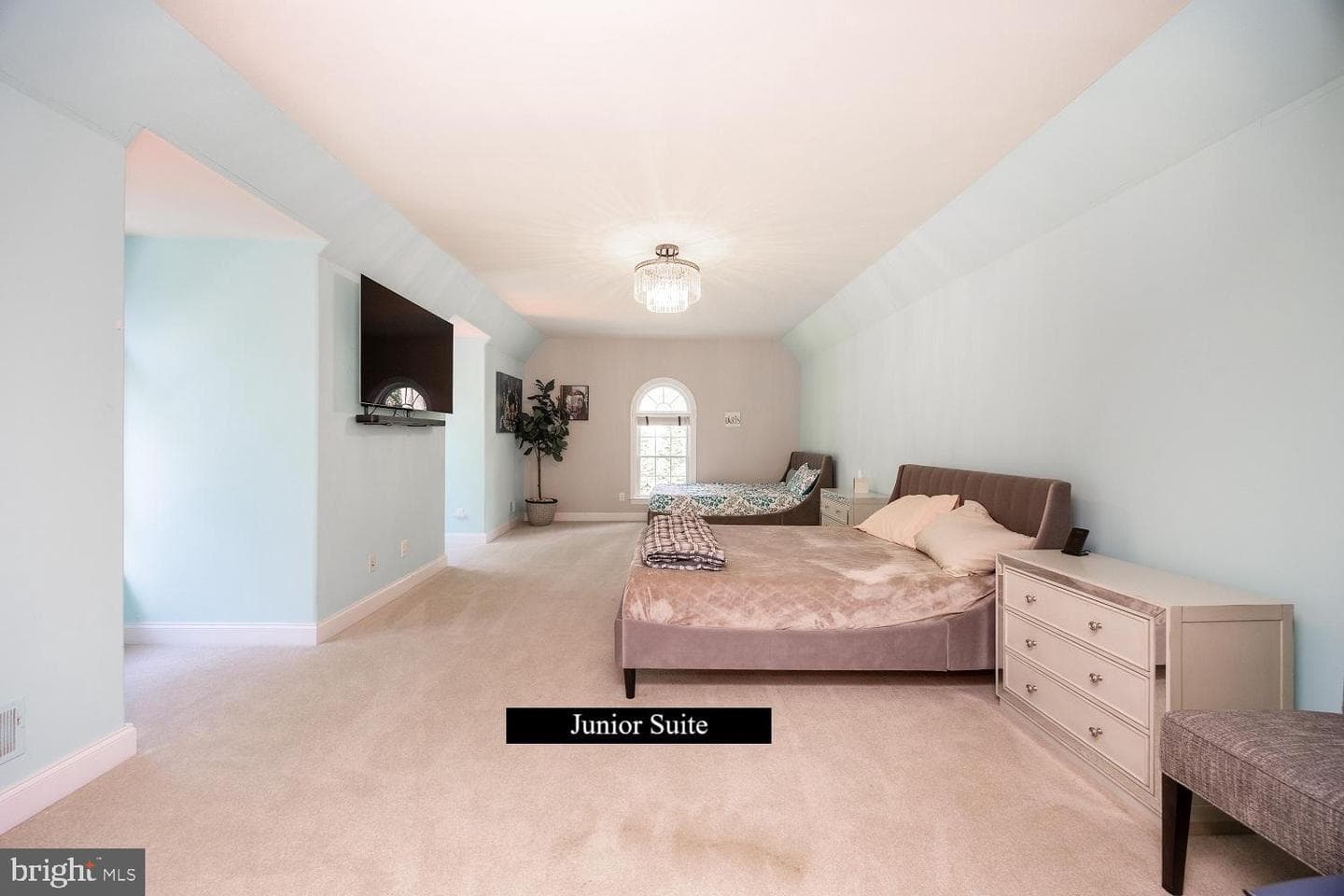 903 Chandler Drive photo 44