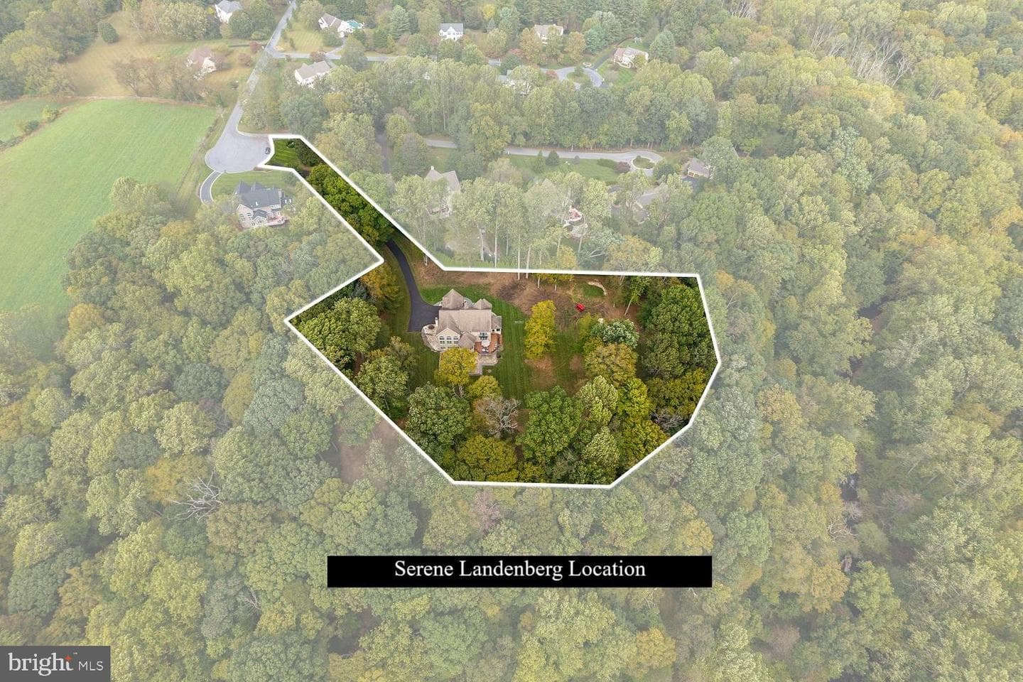 903 Chandler Drive photo 9