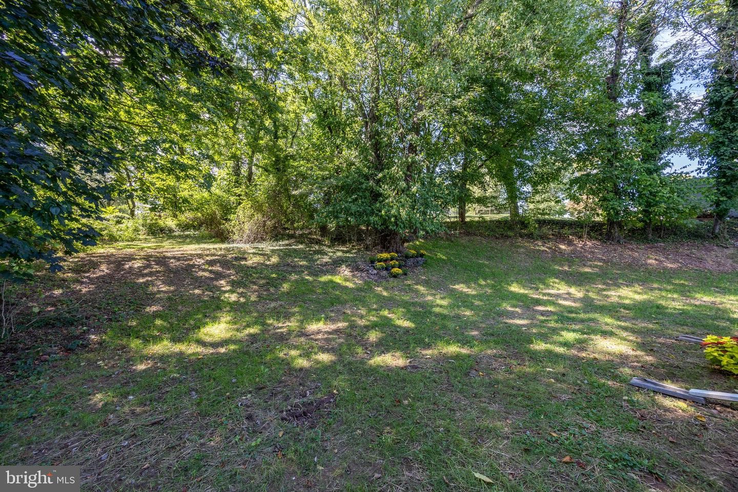 128 Forge Hill Lane photo 47