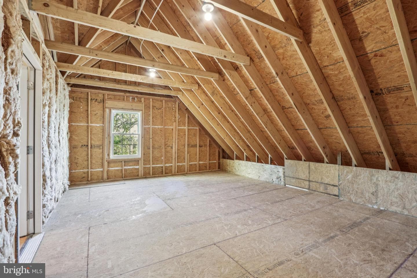 1035 Snyder Avenue photo 58