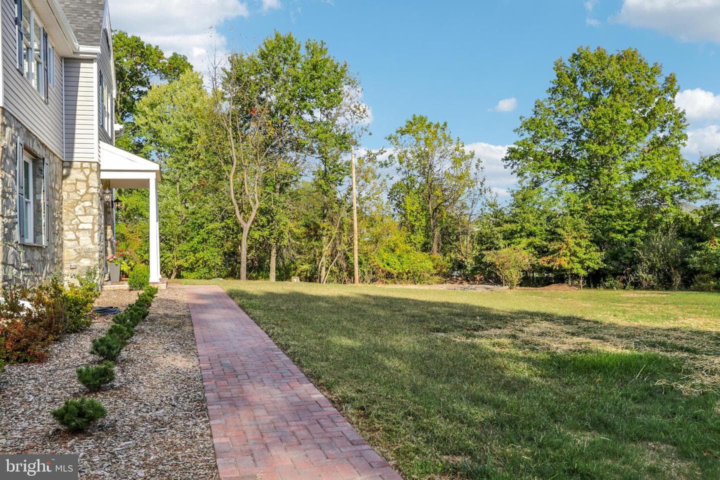 1035 Snyder Avenue photo 6