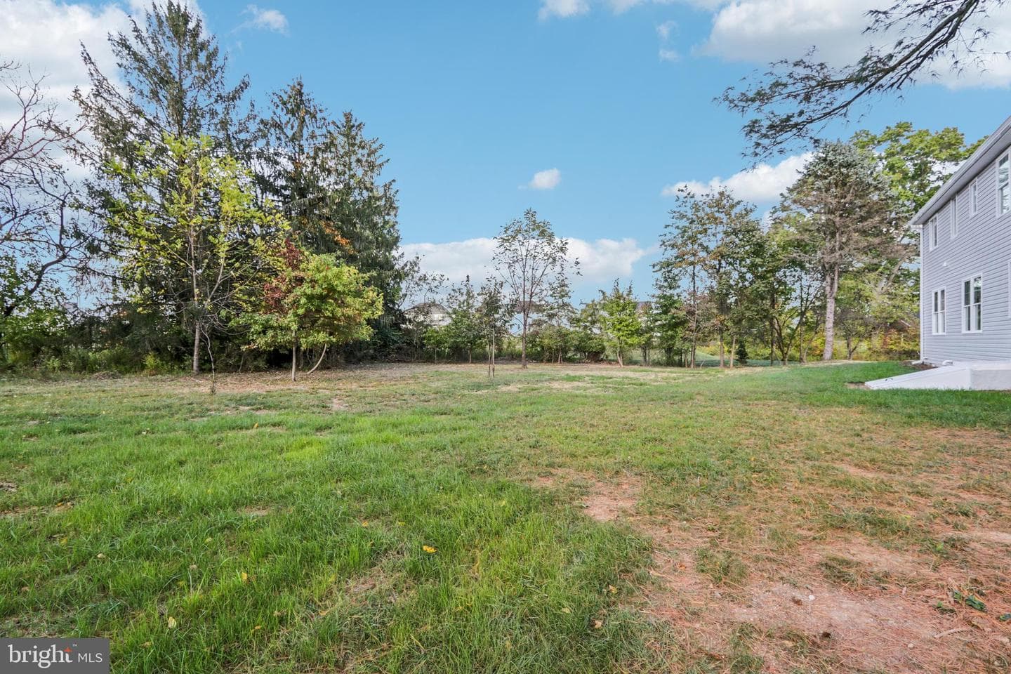 1035 Snyder Avenue photo 65