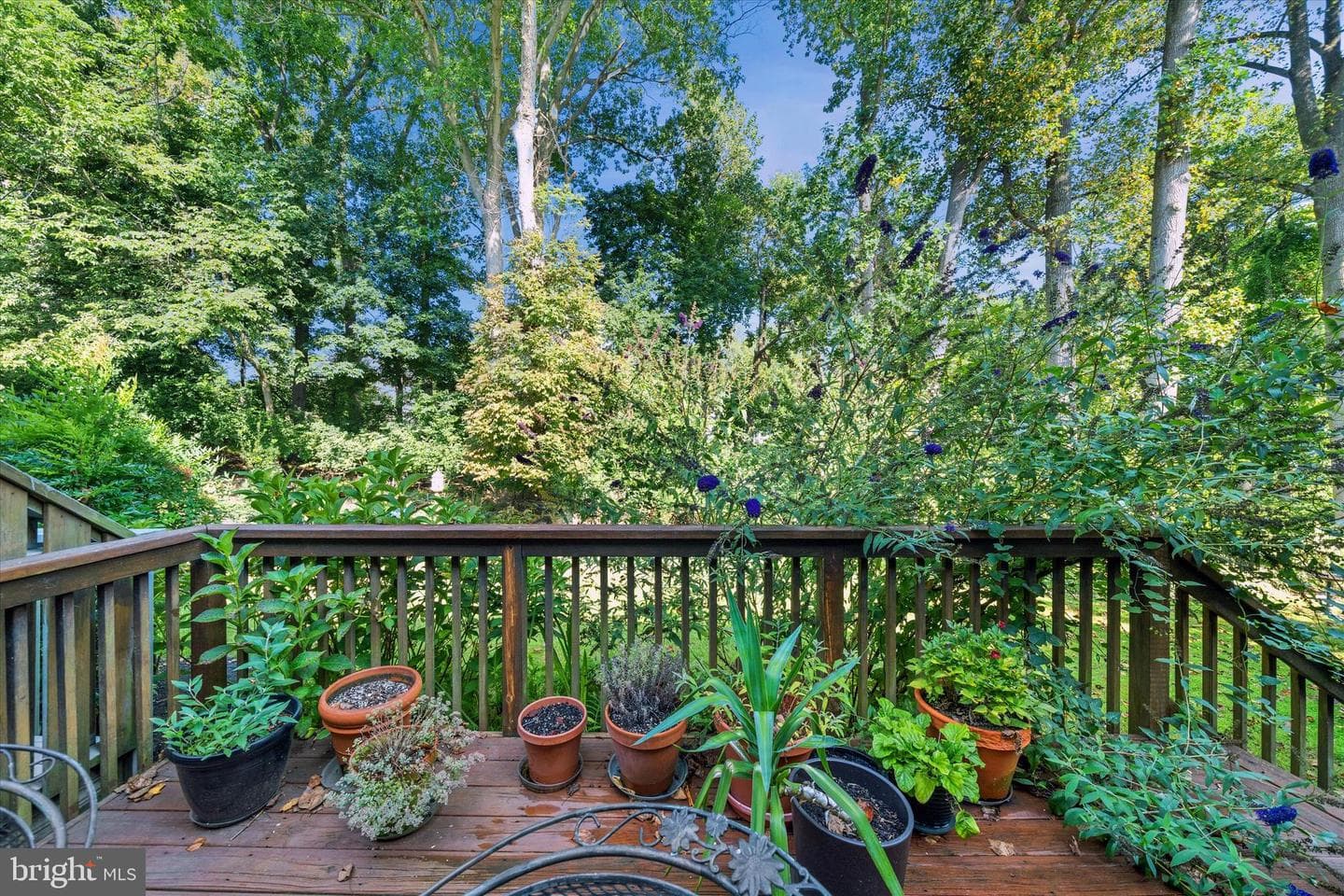 1015 Adams Way photo 44