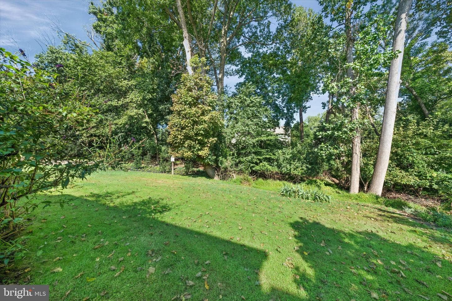1015 Adams Way photo 47