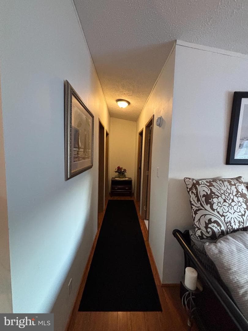 8 Williams Way photo 12