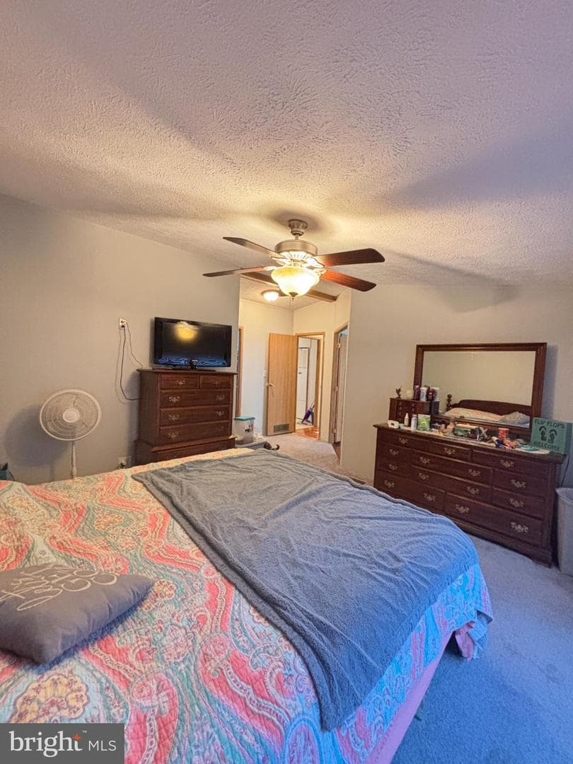 8 Williams Way photo 14