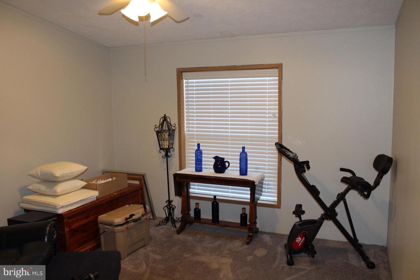 8 Williams Way photo 18
