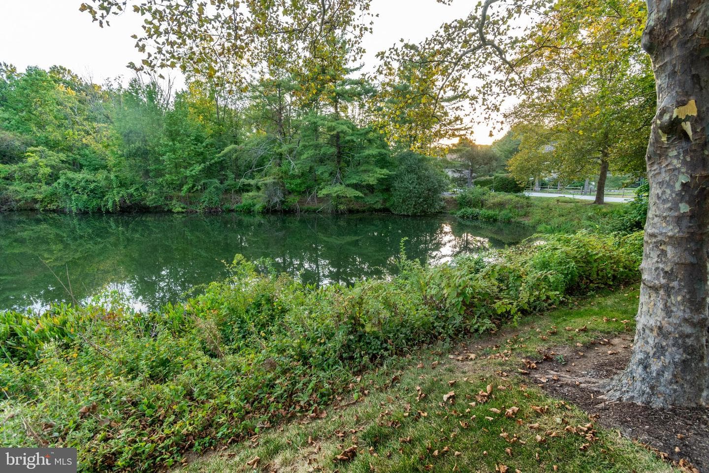 1728 Yardley Drive photo 71