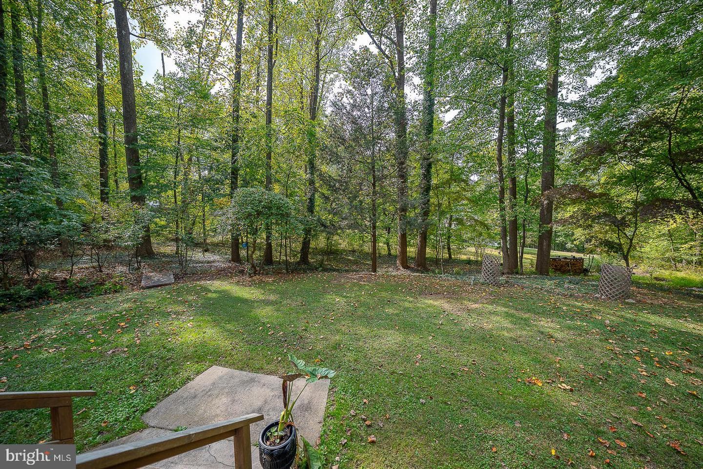 4 Hope Lane photo 31
