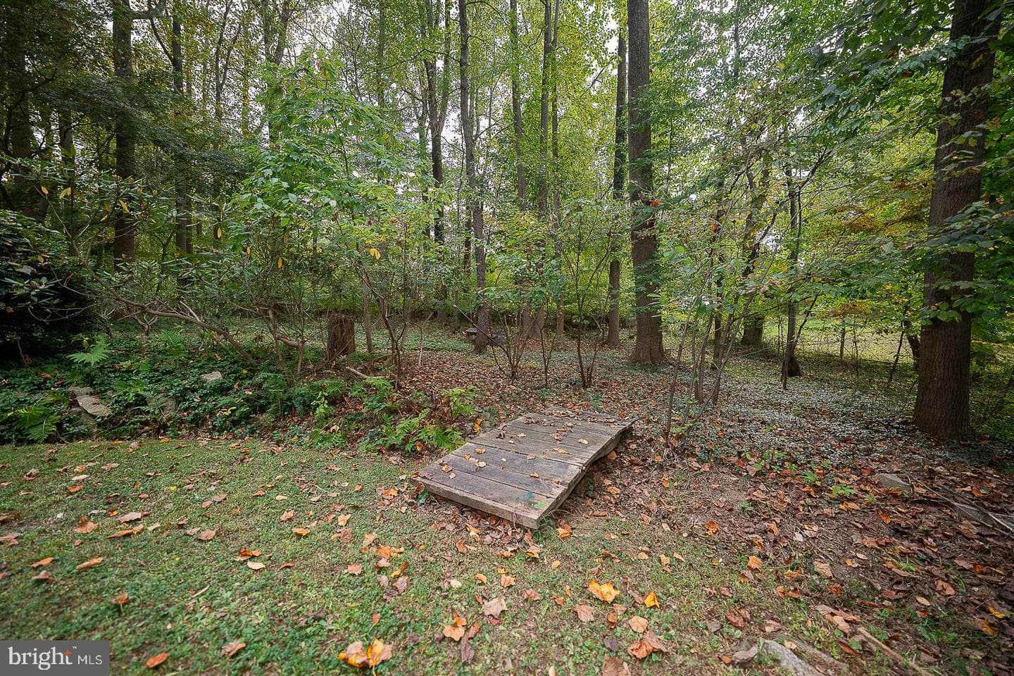 4 Hope Lane photo 36
