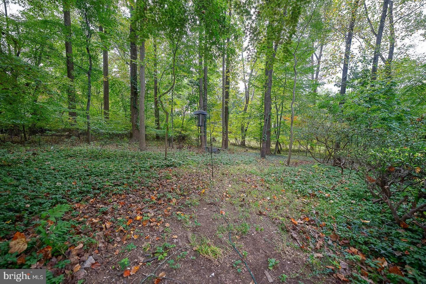 4 Hope Lane photo 37
