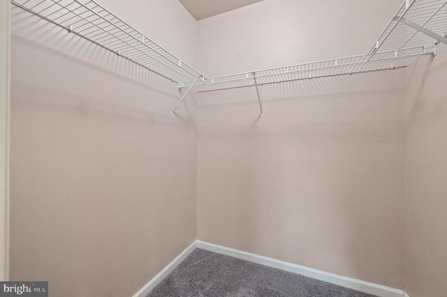 1408 Black Walnut Drive #1408 photo 22