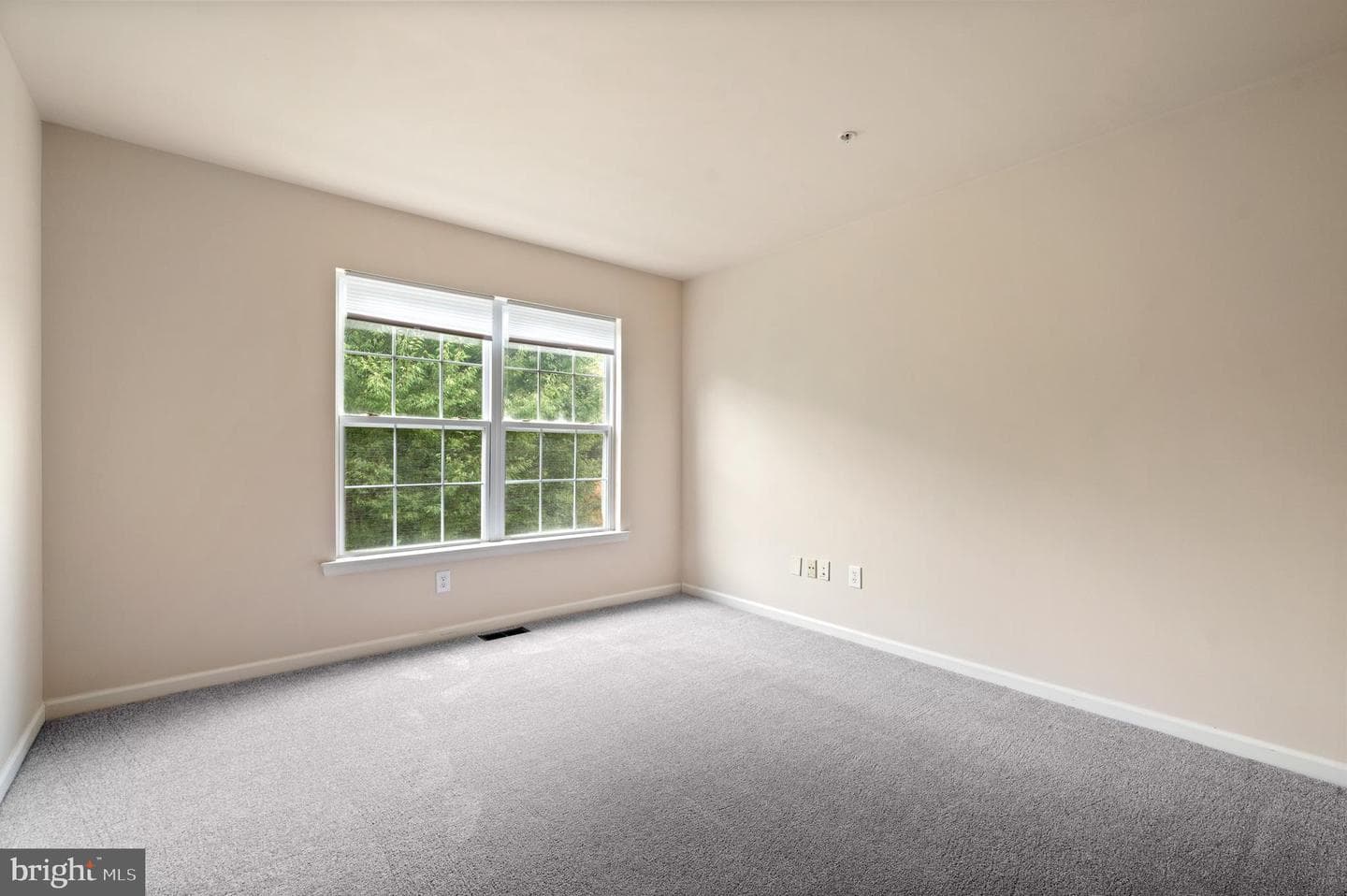 1408 Black Walnut Drive #1408 photo 25