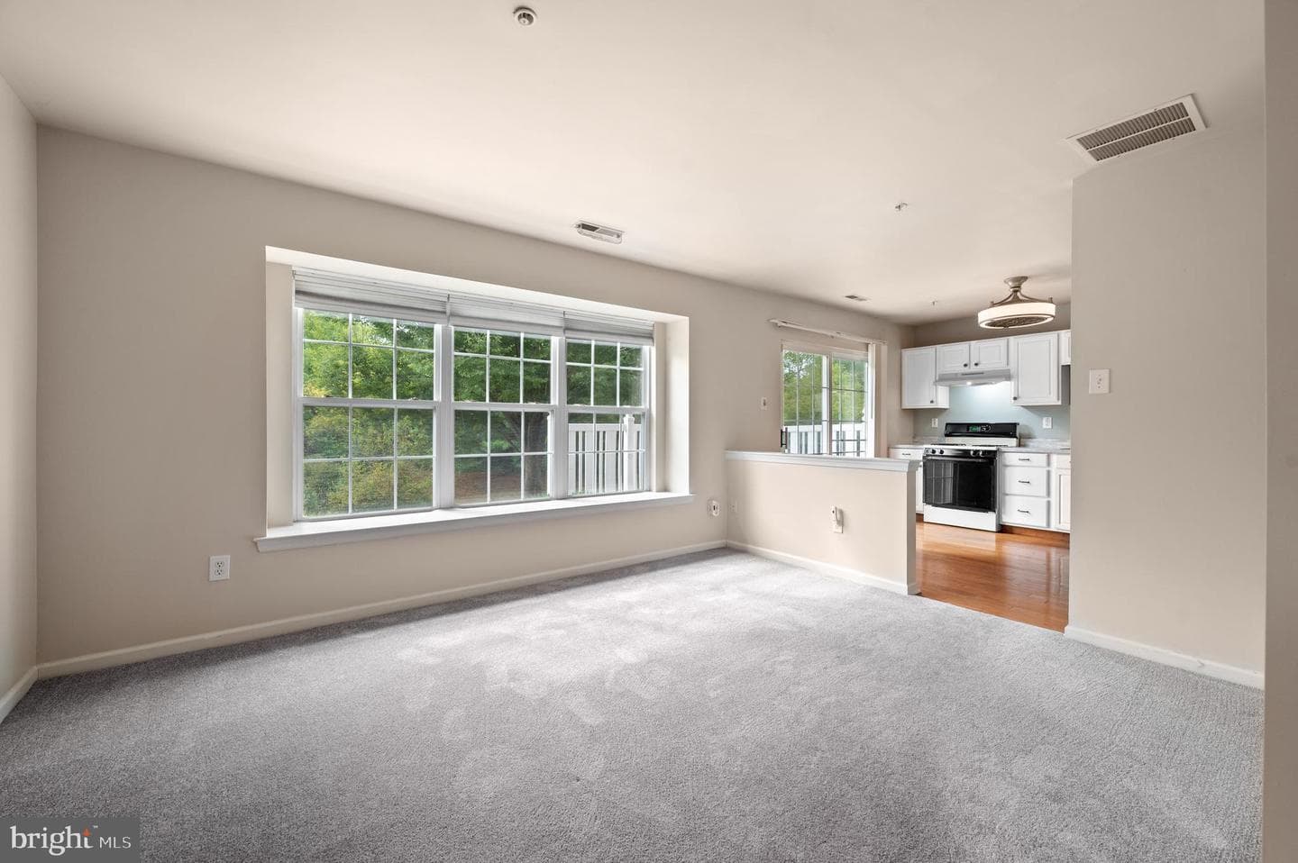 1408 Black Walnut Drive #1408 photo 6