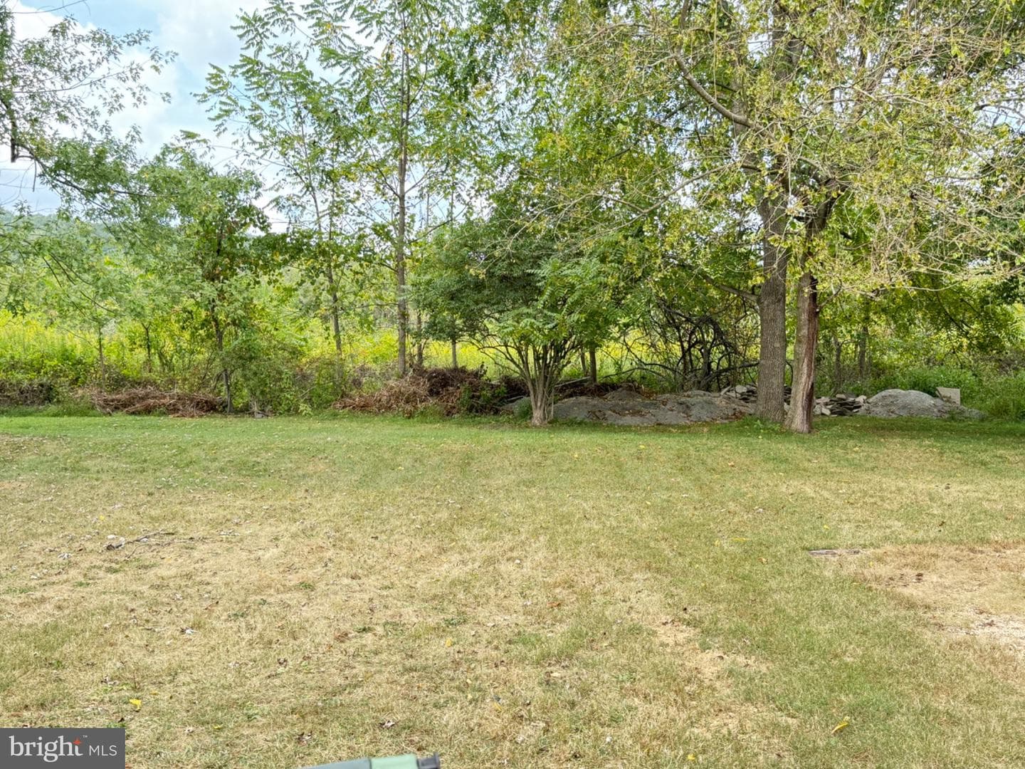 16 Parkside Avenue photo 28