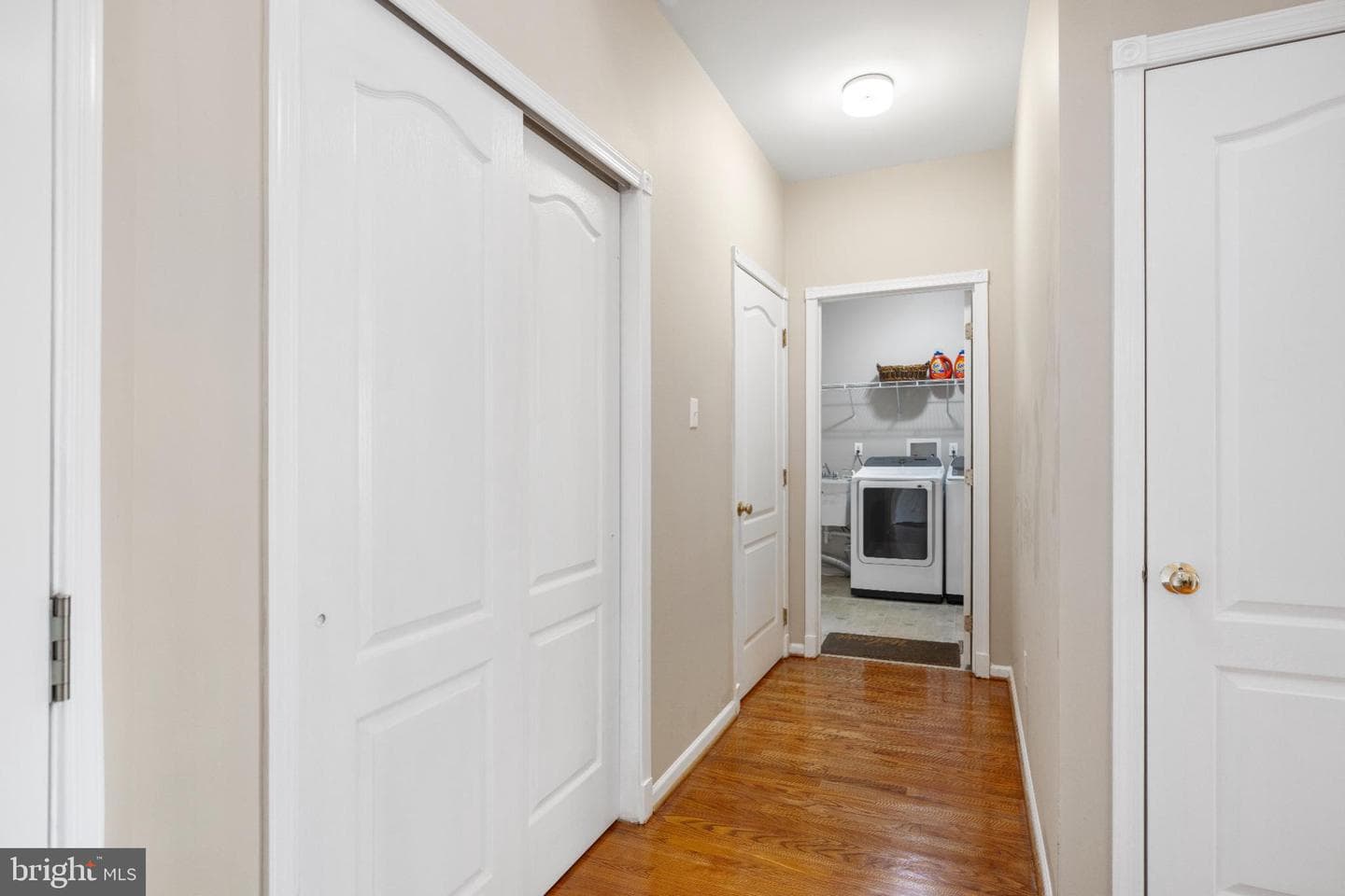 252 Silverbell Court photo 20