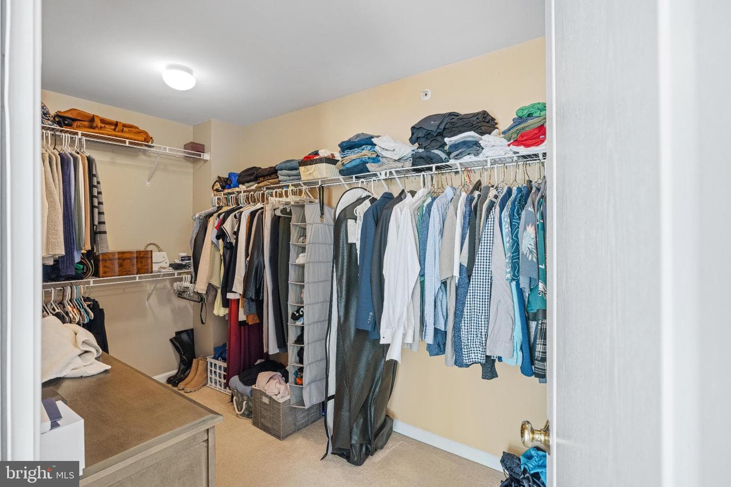 252 Silverbell Court photo 31