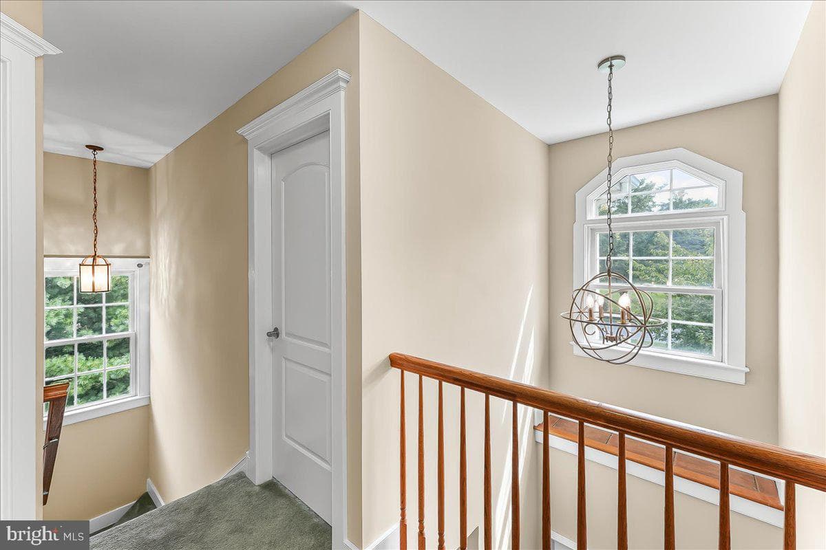 12 Owenwood Drive photo 25