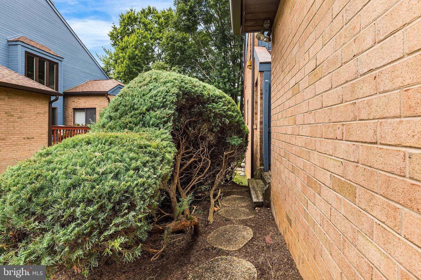 19 Painters Lane photo 47