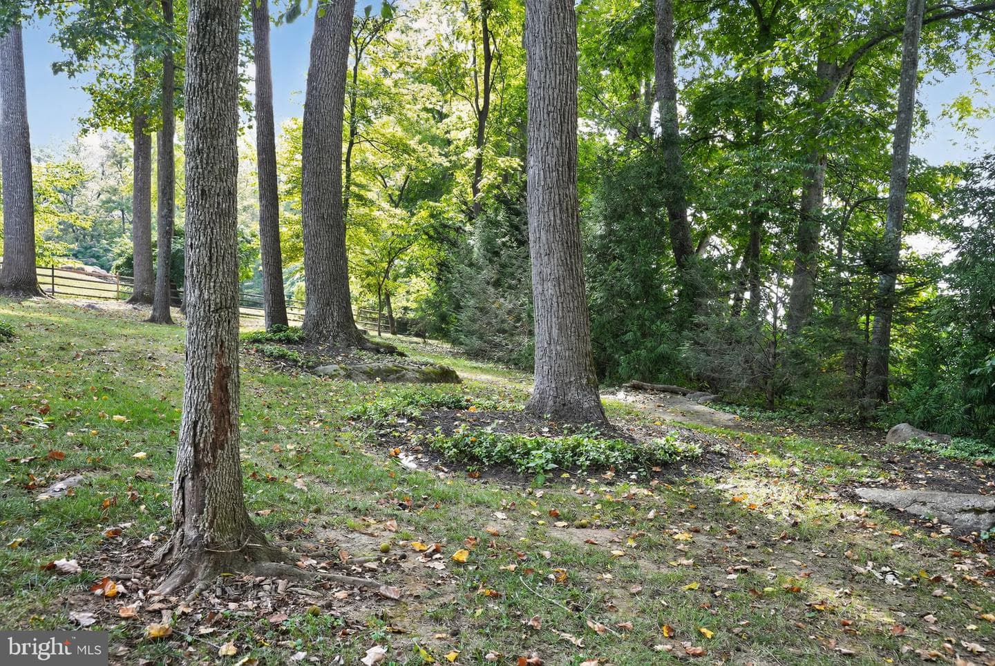 17 Foxchase Road photo 60