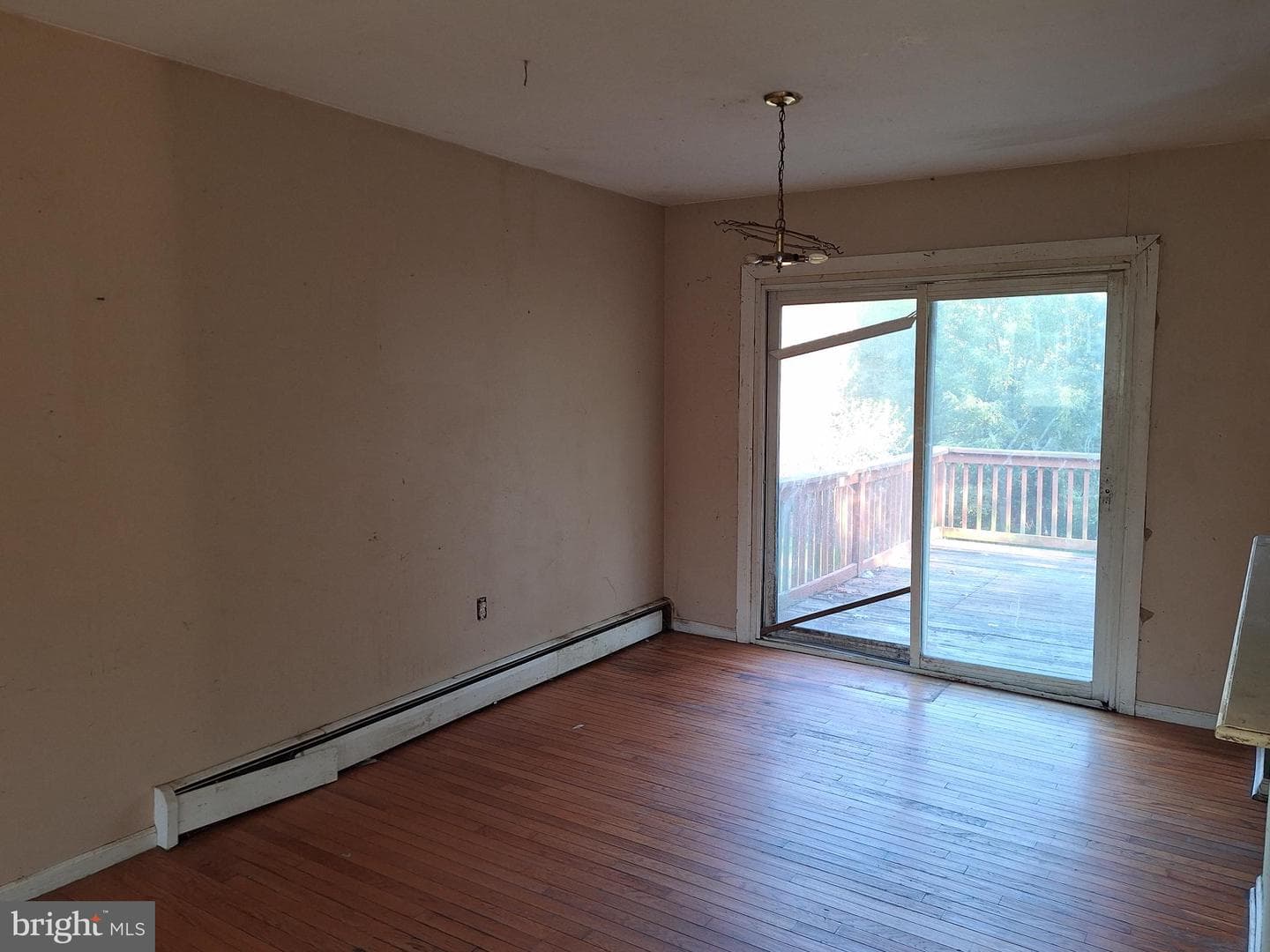 11 Prince Edward Drive photo 13