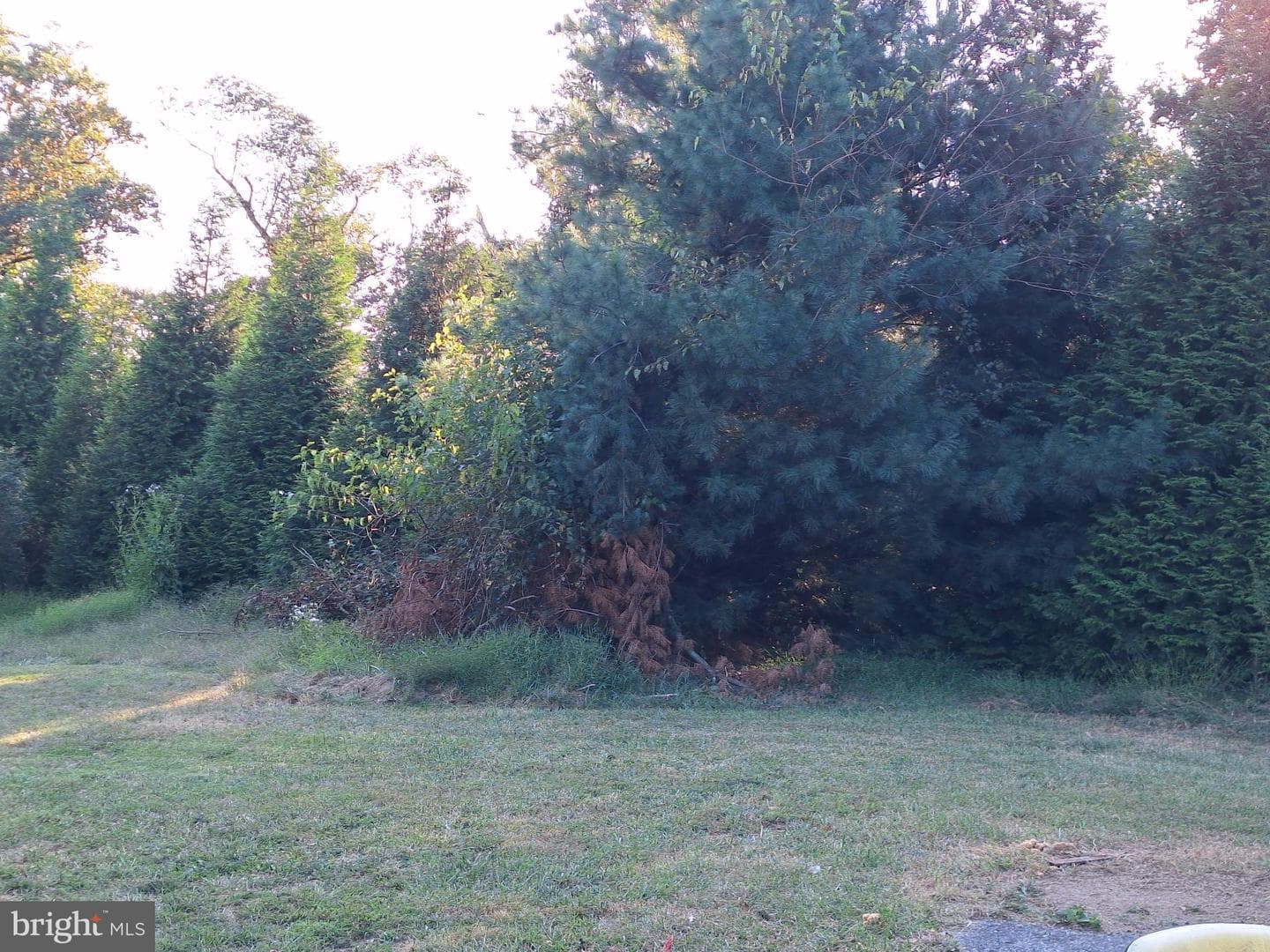 11 Prince Edward Drive photo 4