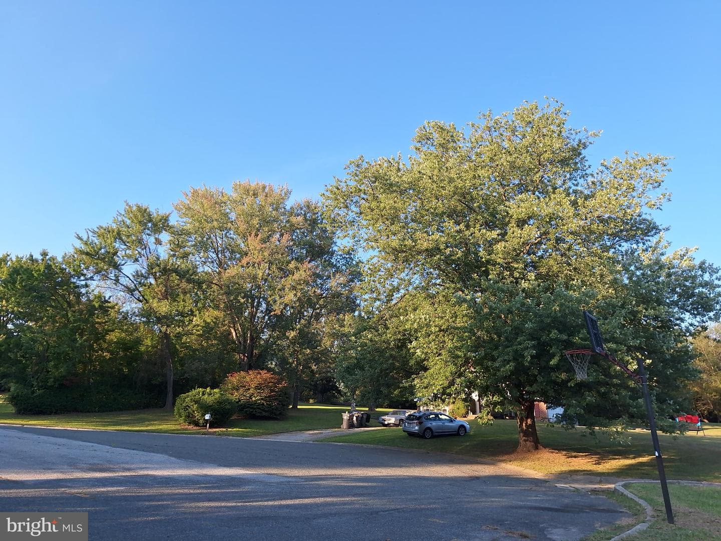 11 Prince Edward Drive photo 55