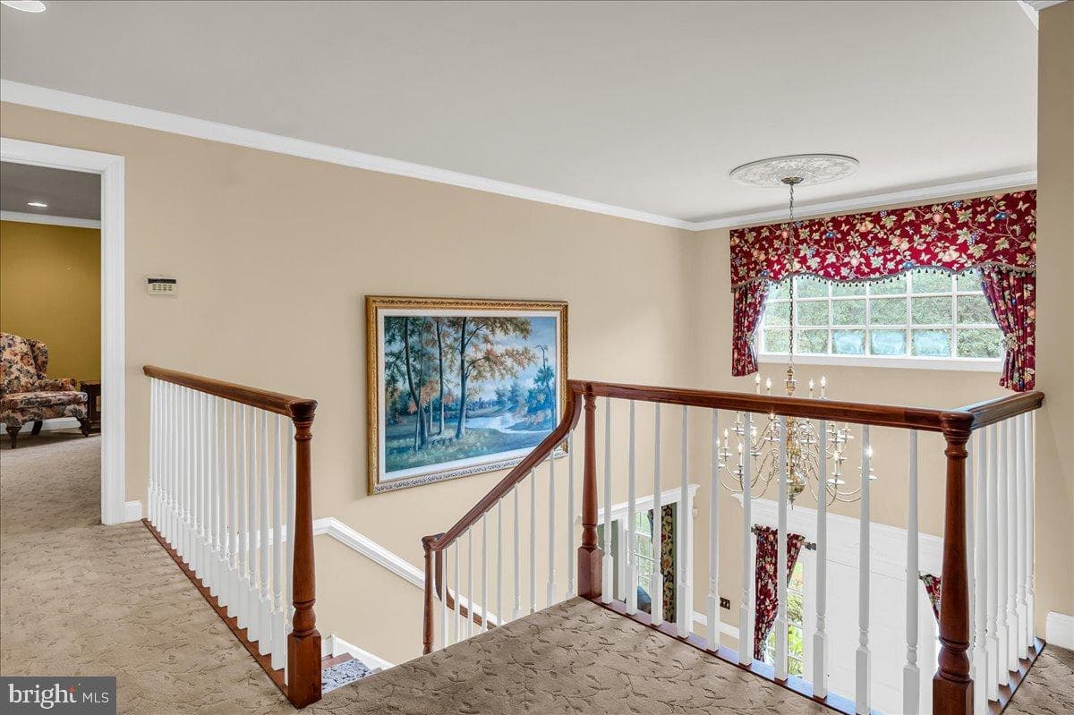 993 Baneswood Drive photo 29