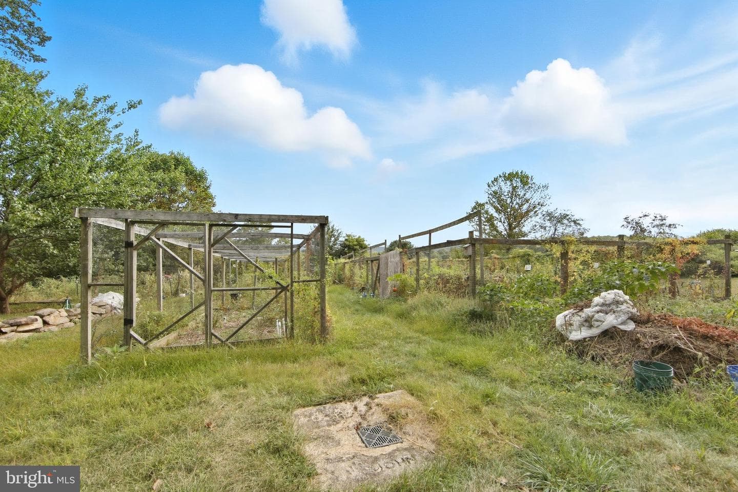 156 Grove Road photo 36