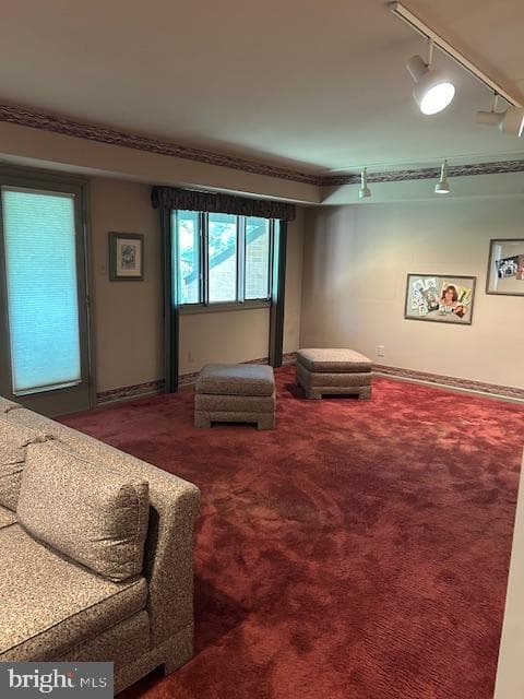 68 Amity Drive photo 51