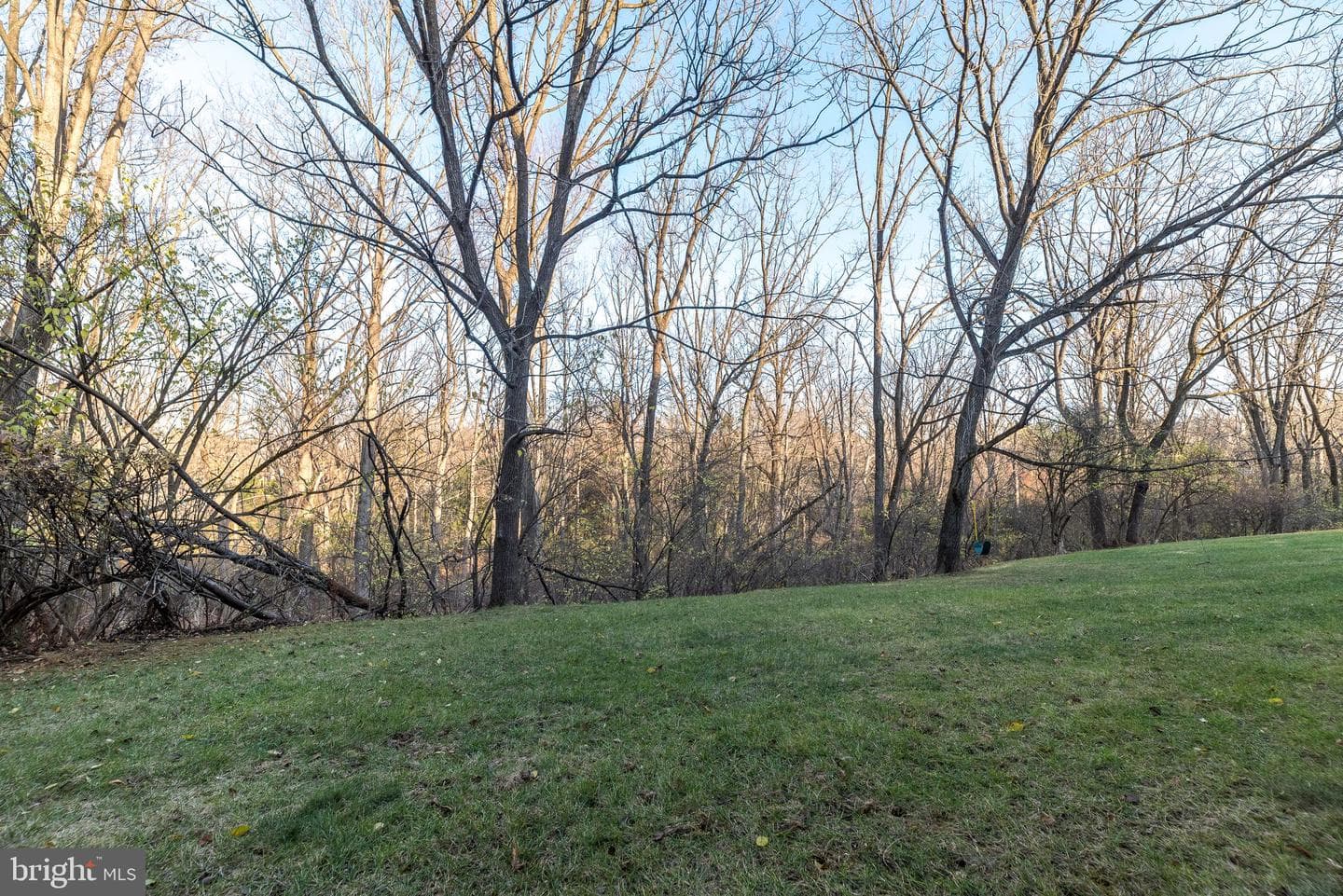68 Amity Drive photo 55