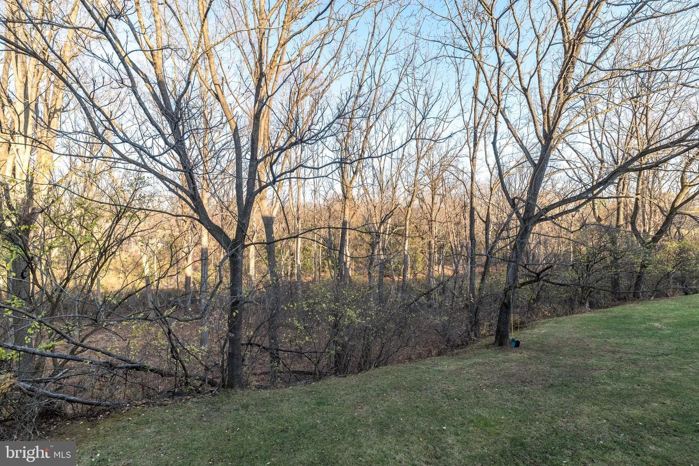 68 Amity Drive photo 9