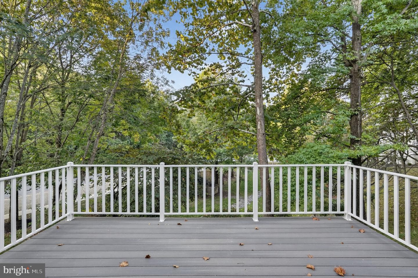 103 Elizabeth Court photo 29