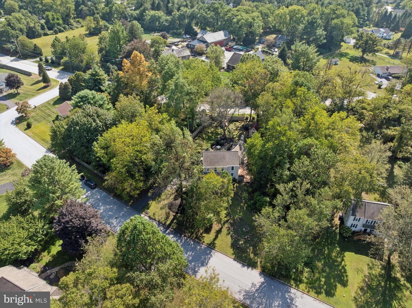 105 Dorothy Lane photo 44
