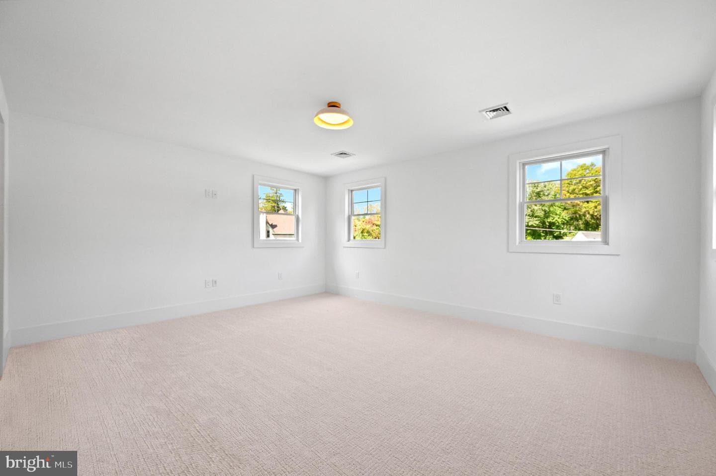 477 Black Swan Lane photo 44