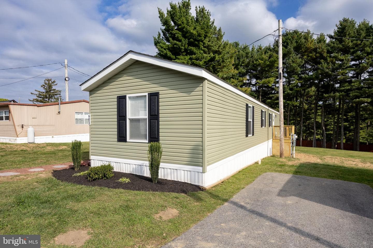 603 Theozel Lane photo 2