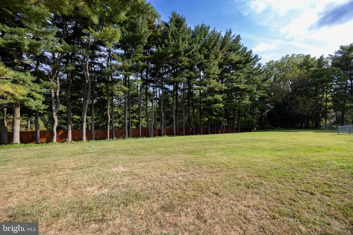 603 Theozel Lane photo 29