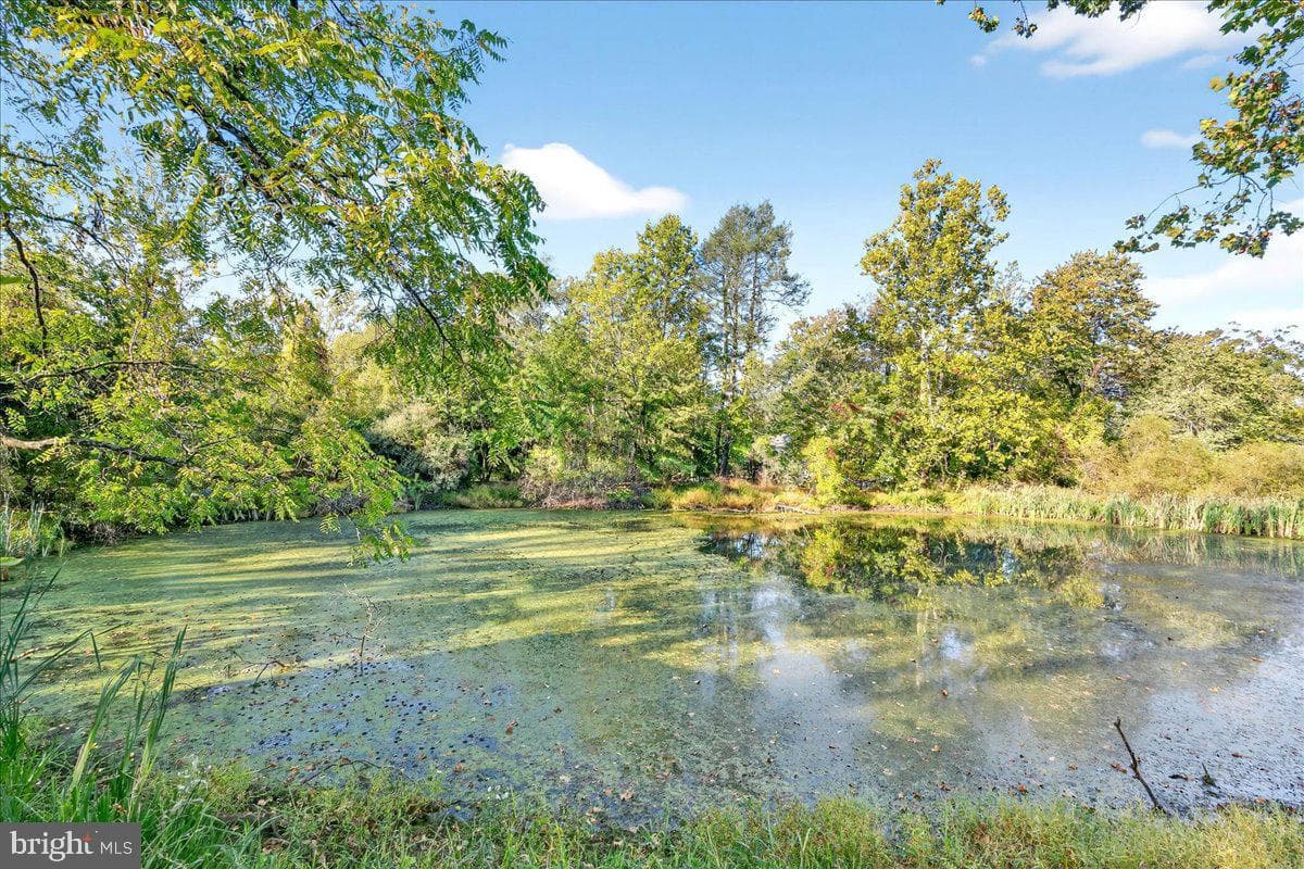 121 Midway Road photo 44