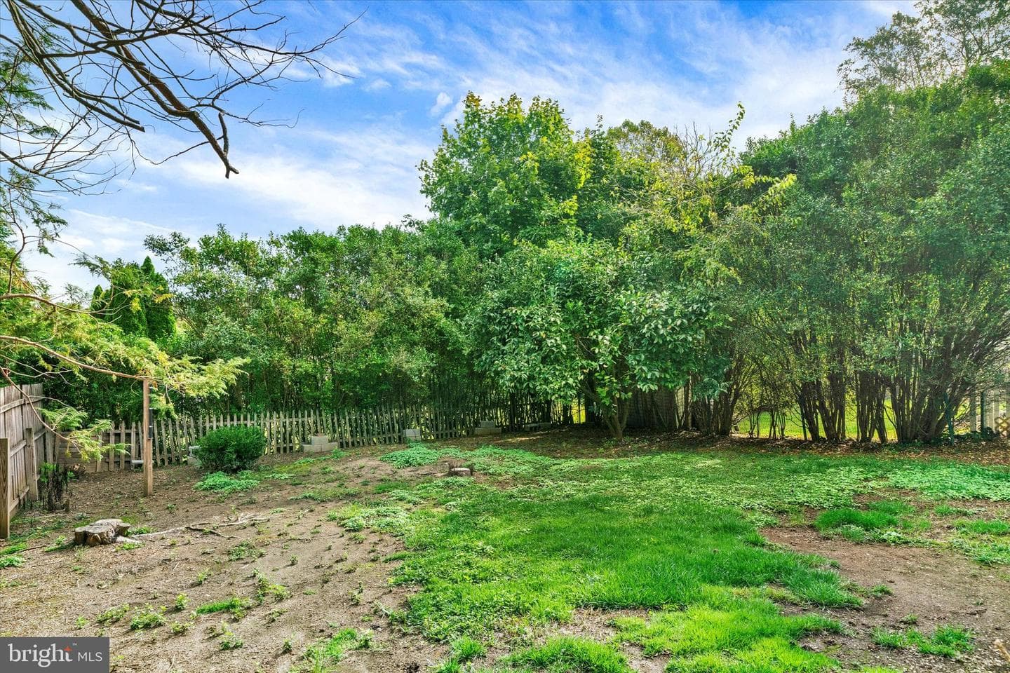 219 Green Street photo 19