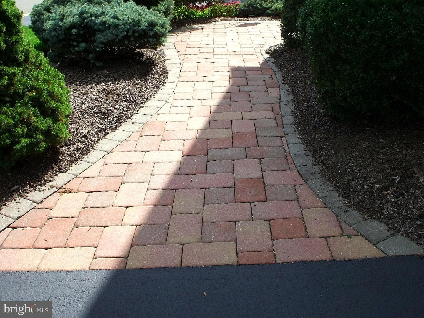 213 Katsura Drive photo 39