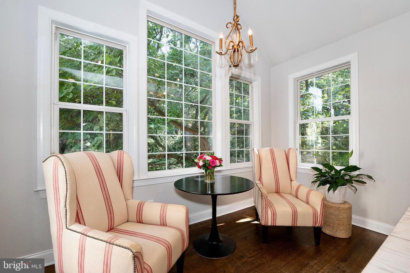 5 Shady Brook Lane photo 15