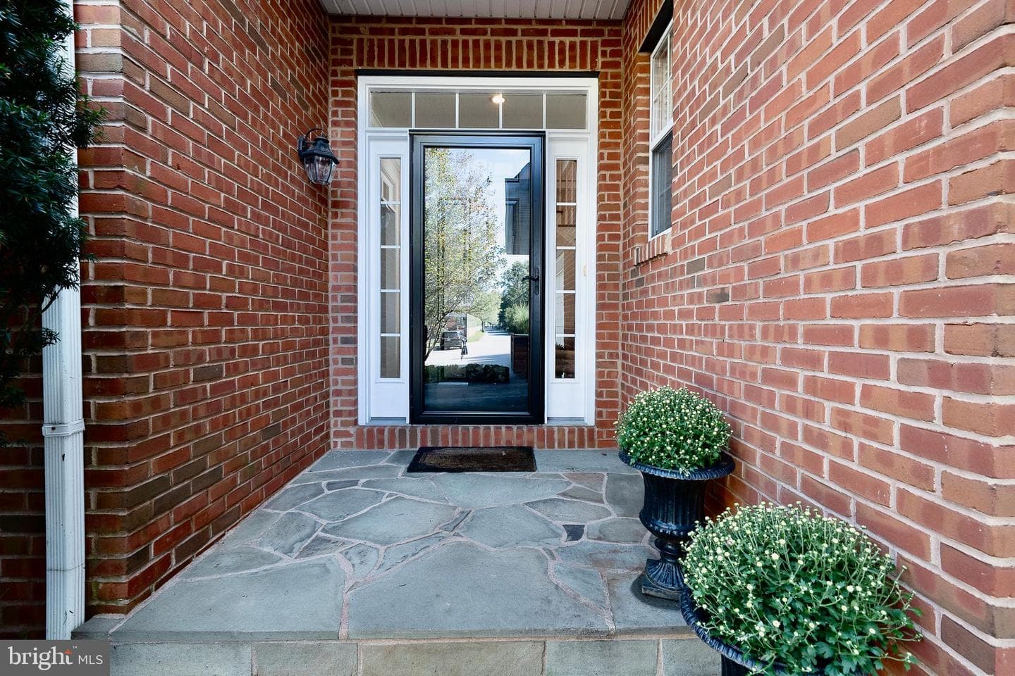 5 Shady Brook Lane photo 2