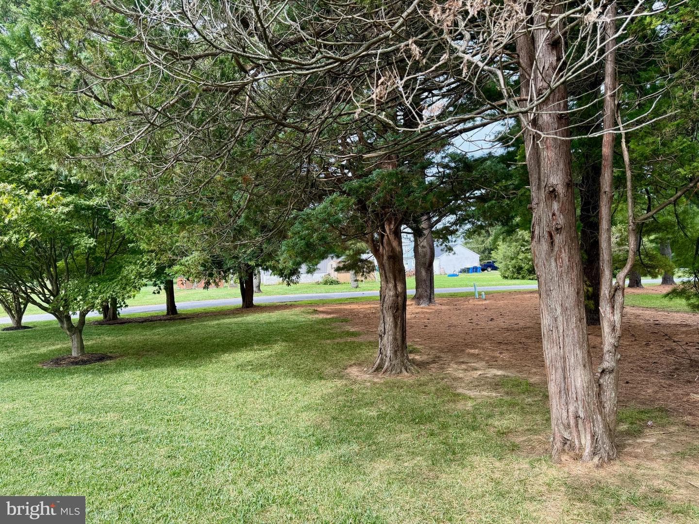 14 Frederick Road photo 35