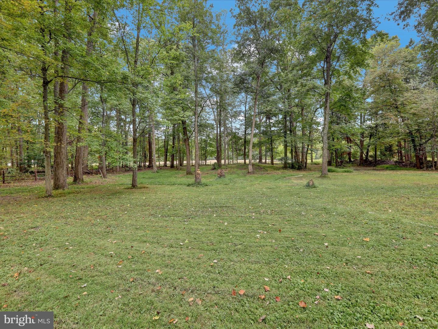 270 Laurel Road photo 40