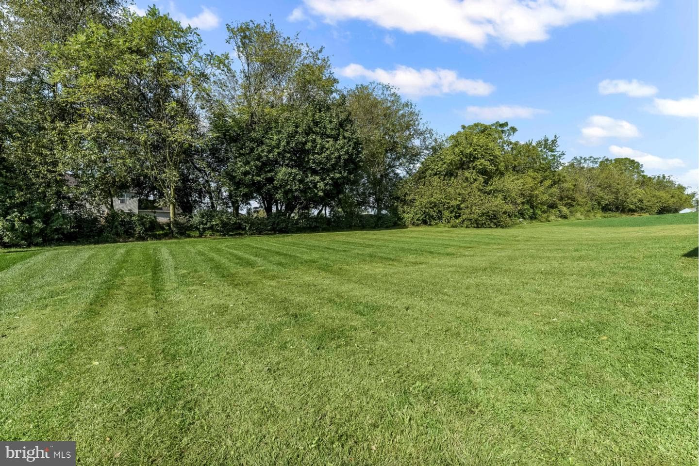 242 Greenwood Drive photo 17