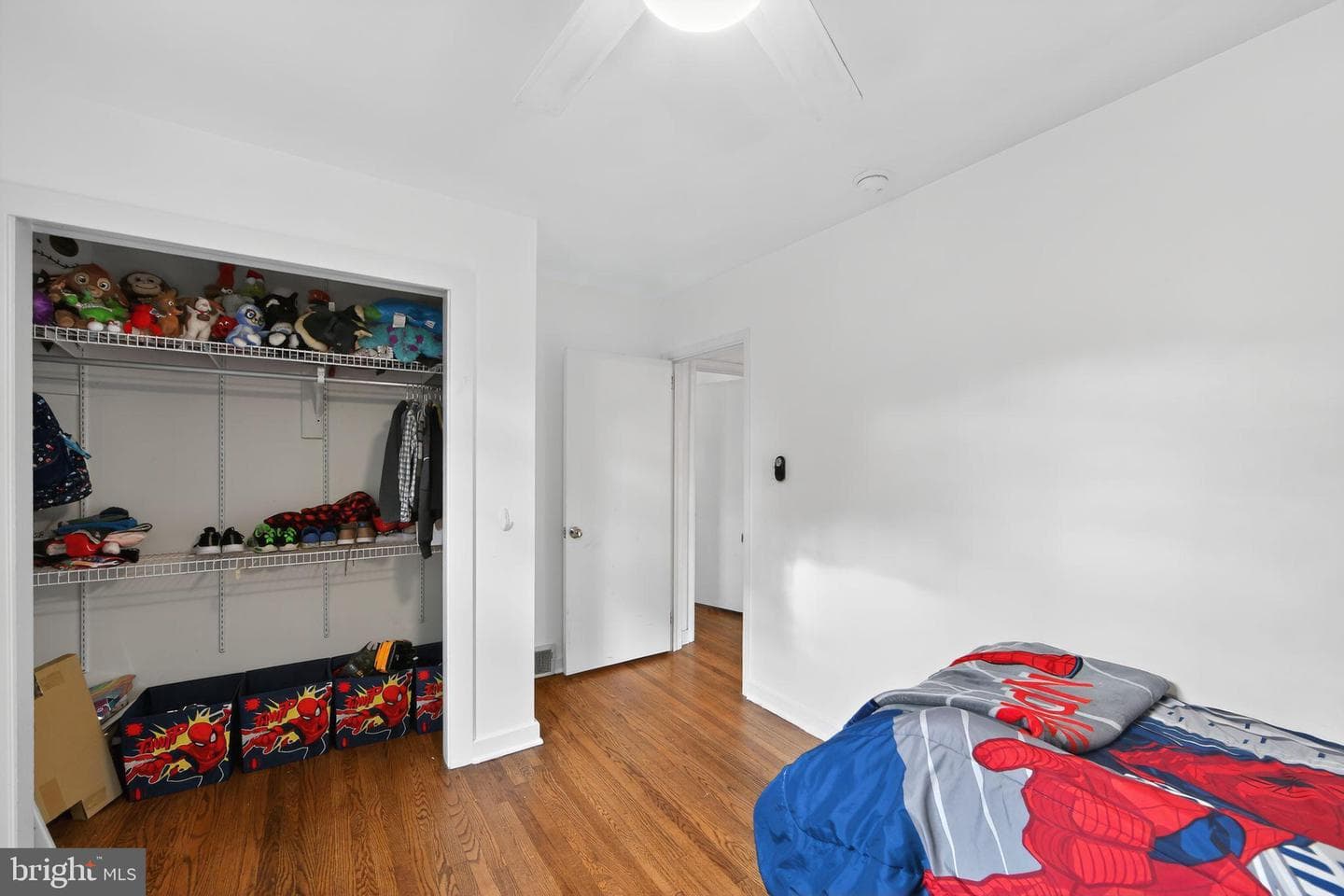 119 Waterloo Avenue photo 18