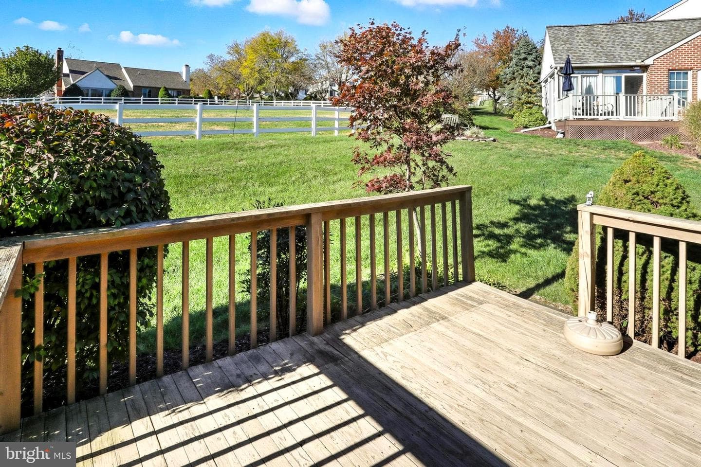 242 Steeplechase Drive photo 15