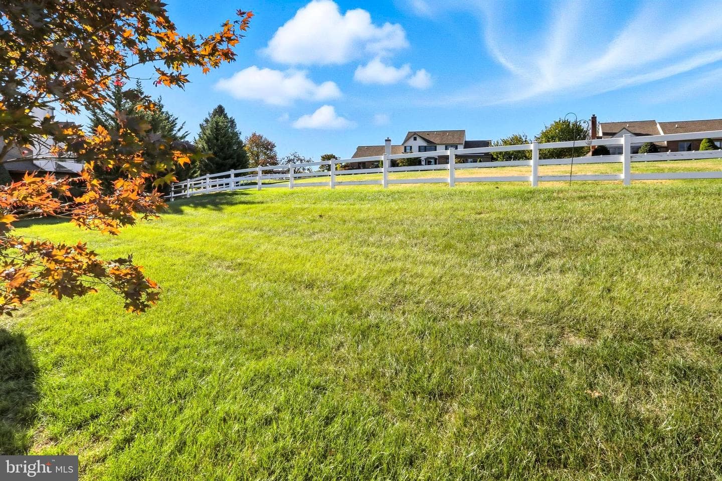 242 Steeplechase Drive photo 25