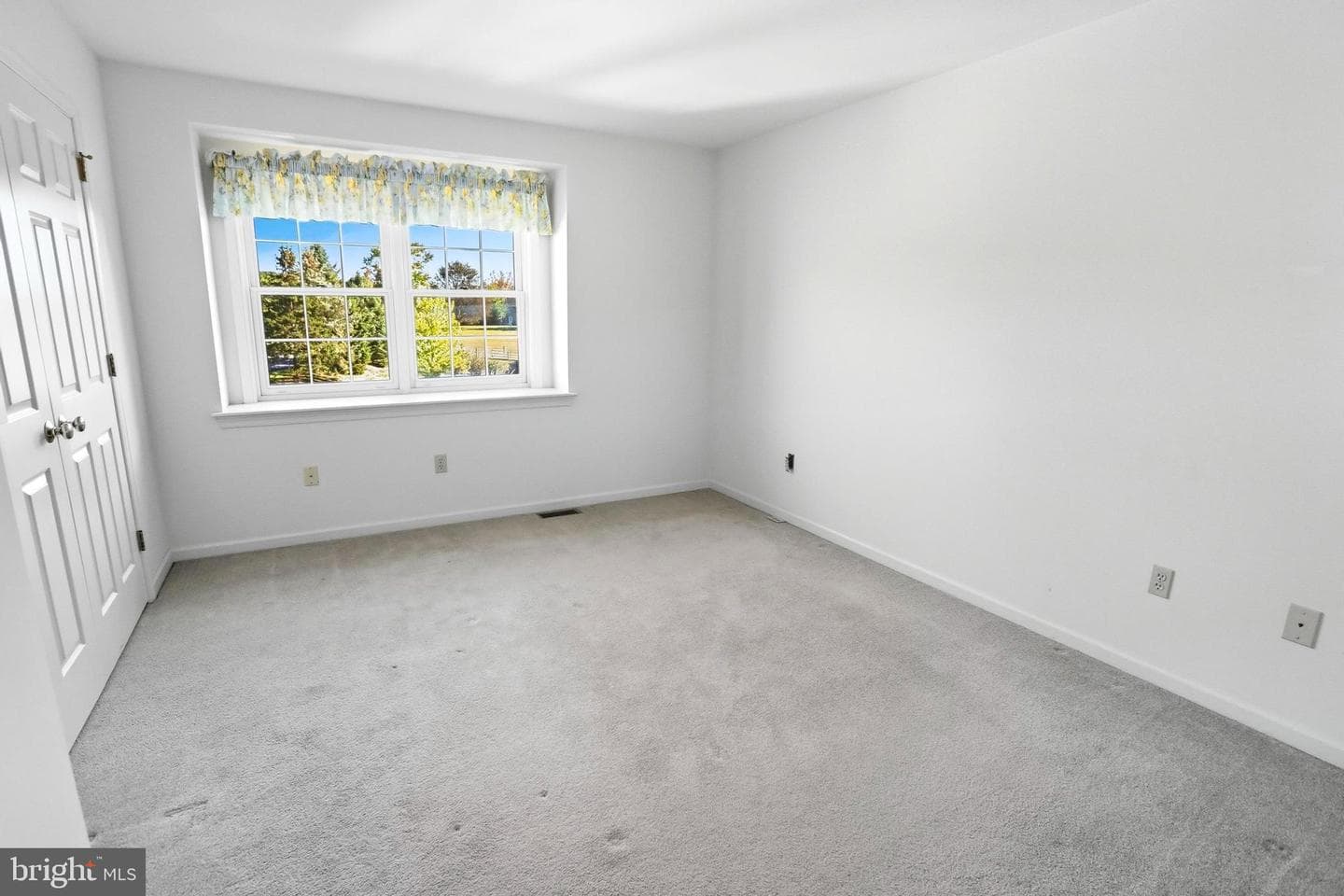 242 Steeplechase Drive photo 46